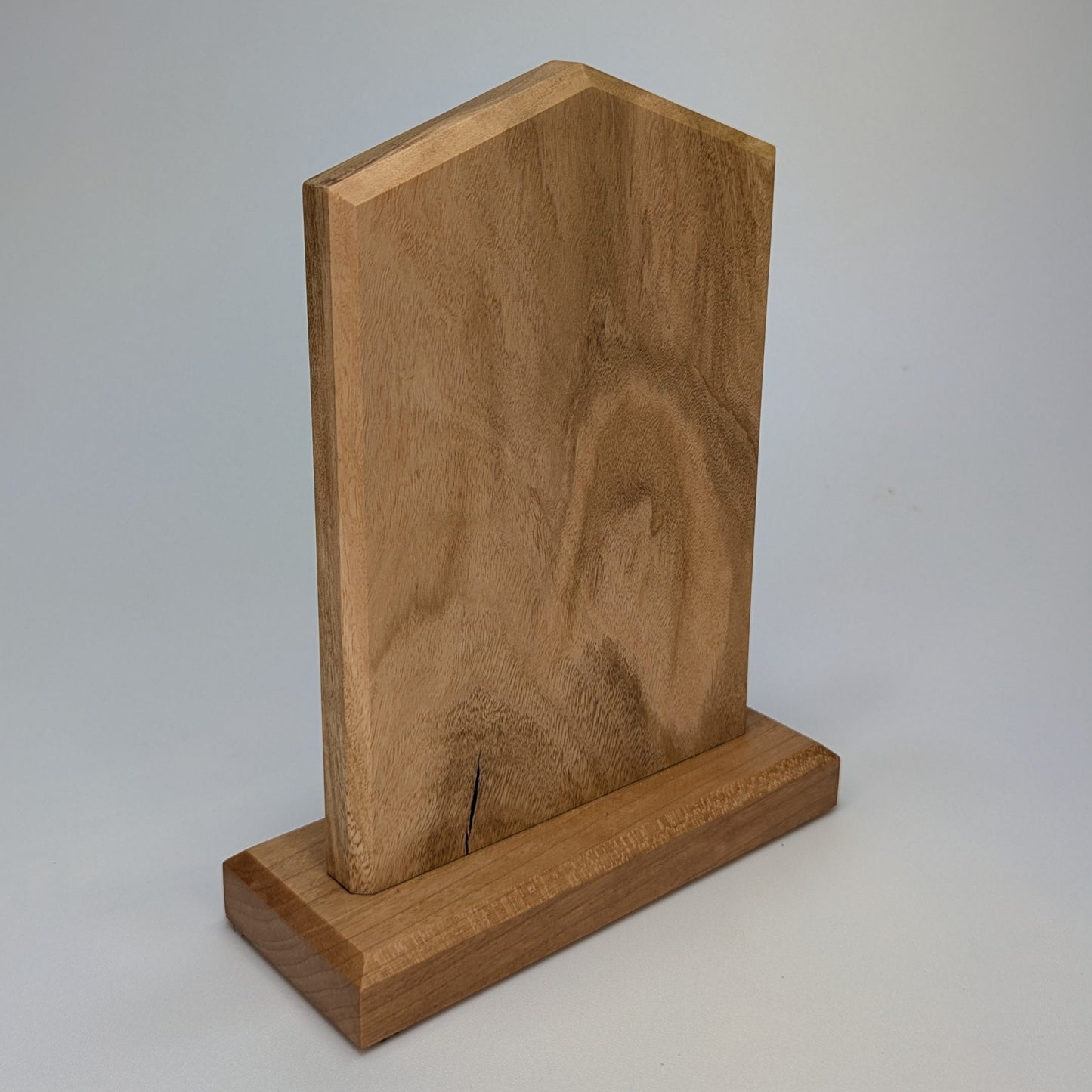 US Space Force Service Member 21 Gun Solute Memorial - Standing Plaque