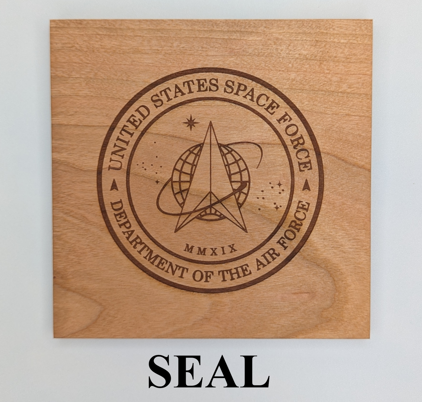 US Space Force Service Member 21 Gun Solute Memorial - Standing Plaque
